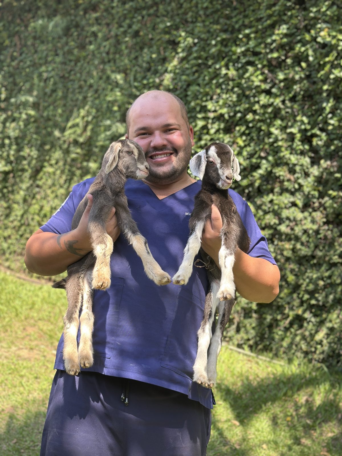 Veterinário da Vetconfort segurando dois filhotes de cabra